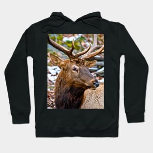 Red Deer Hoodie